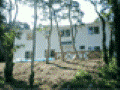 詳細情報へ