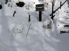 駐車場からエントランスに向かうところで雪だるま君がお出迎え。