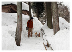 展望できる高台へ雪の階段を昇らないとなりません