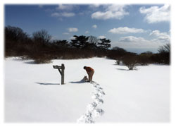 誰も歩いた跡がない雪原は気持ちがよいです