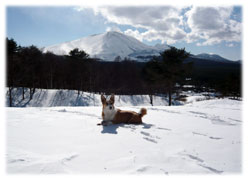 北軽で気軽に雪あそびができるアスパラでは目の前に浅間山が。
