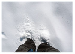 乾燥して冷え込んでいるので雪はフカフカです。