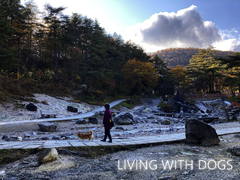 西の河原を散歩。いたるところで温泉が湧きだしています。