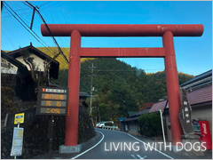 武蔵御嶽神社の一之鳥居をくぐり、道は細くなっていきます。