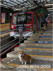 犬も載せてくれるという嬉しいケーブルカー前で記念撮影