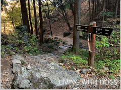 ほどなく東屋のある大岳山方面と御岳神社の登山道にぶつかります。
