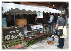 お気に入りの井上窯に併設されている陶知庵に立ち寄ります。