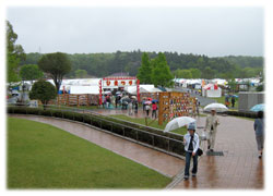 笠間の陶器市は陶炎祭(ひまつり)と言います。雨でも賑わっていました。